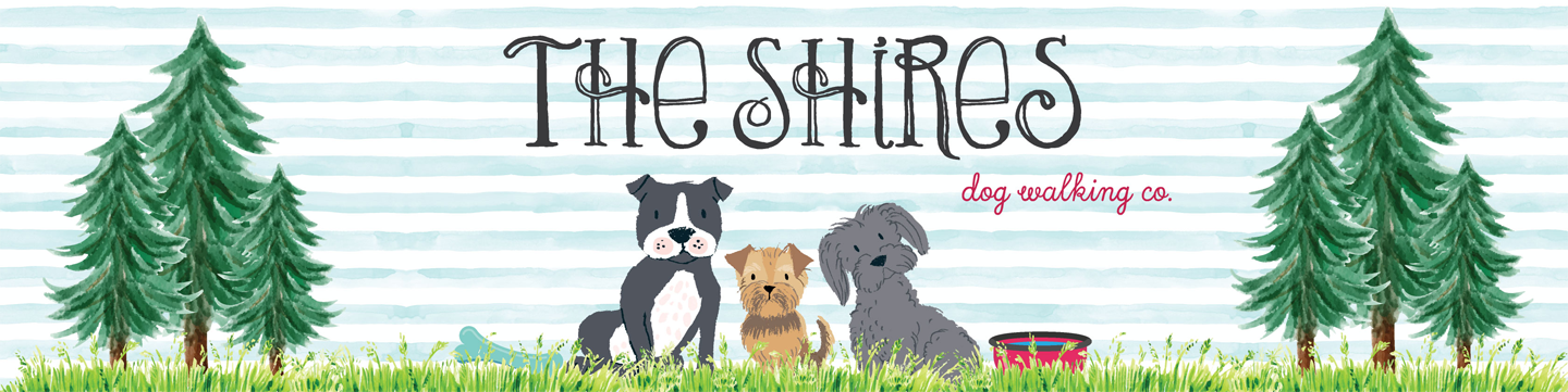 The Shires Dog Walking Co.